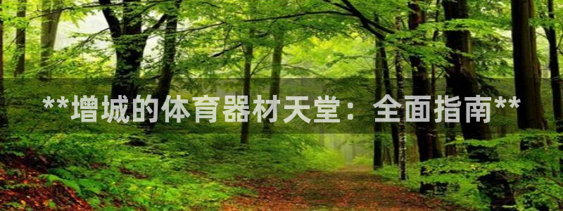 长征平台代理怎么做：**增城的体育器材天堂：全面指南