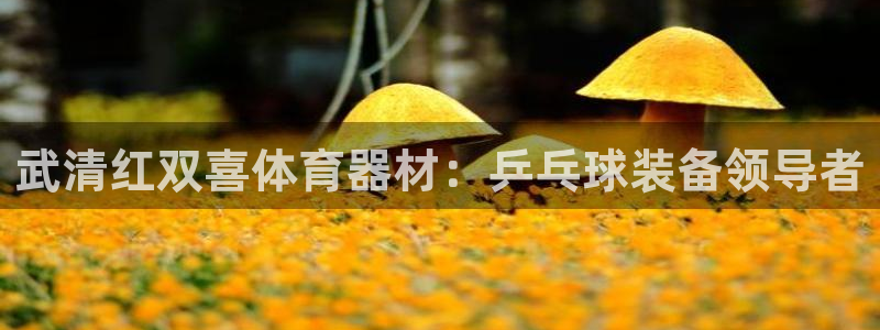 长征成语：武清红双喜体育器材：乒乓球装备领导者