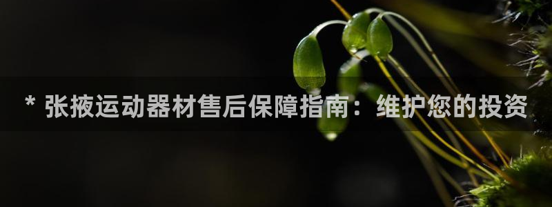 长征挑战第三关怎么打：* 张掖运动器材售后保障指南：