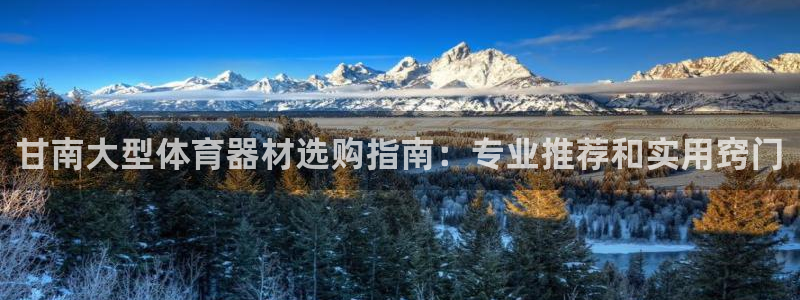 长征娱乐返点多少钱：甘南大型体育器材选购指南：专业推