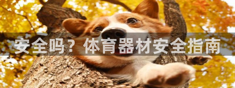 长征天下的微信名字好吗：安全吗？体育器材安全指南