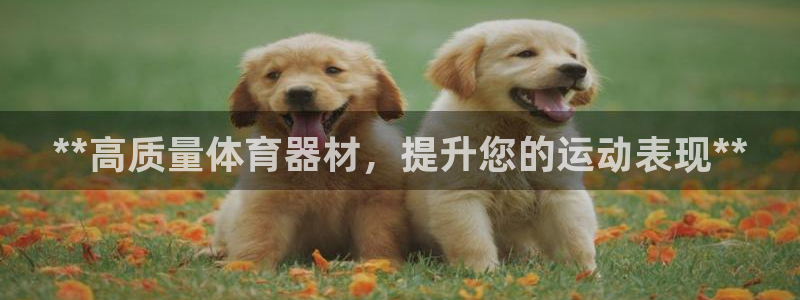 长征集团董事长抖音是谁：**高质量体育器材，提升您的