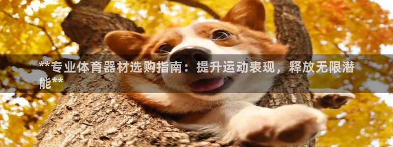 长征娱乐登录注册：**专业体育器材选购指南：提升运动