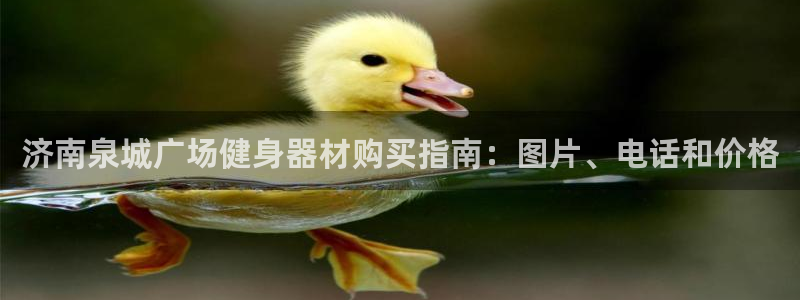 长征娱乐官网首页登录不了：济南泉城广场健身器材购买指