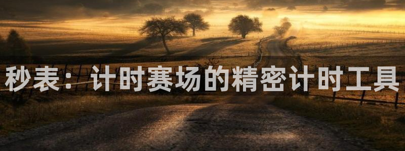 长征娱乐是什么平台：秒表：计时赛场的精密计时工具