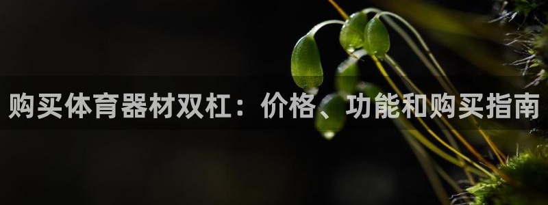 长征平台招商：购买体育器材双杠：价格、功能和购买指南