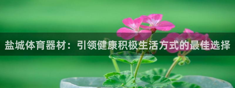 长征娱乐安全吗：盐城体育器材：引领健康积极生活方式的