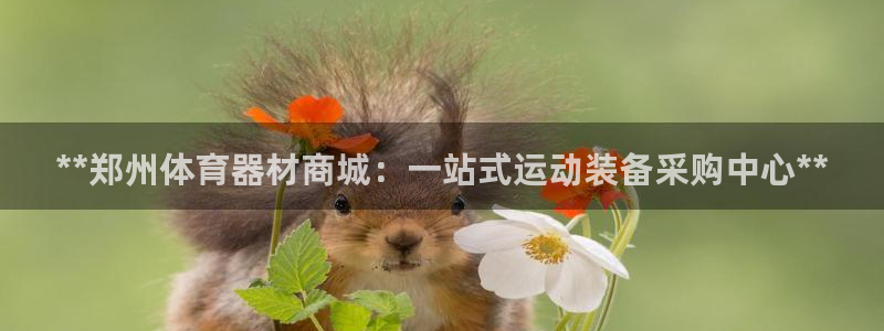 长征来袭什么意思：**郑州体育器材商城：一站式运动装