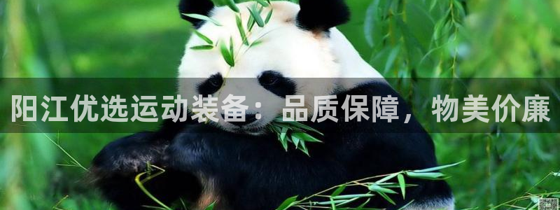 长征登场的图片：阳江优选运动装备：品质保障，物美价廉