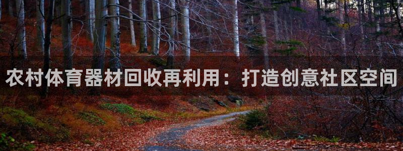 长征集团罗文斌：农村体育器材回收再利用：打造创意社区