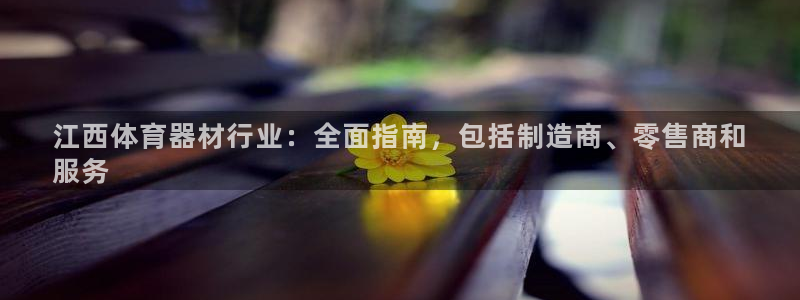 长征平台网址：江西体育器材行业：全面指南，包括制造商