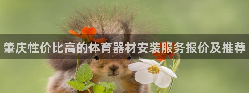 长征娱乐如何登录平台账号：肇庆性价比高的体育器材安装