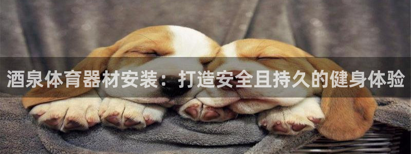 长征娱乐能提现吗现在怎么样：酒泉体育器材安装：打造安