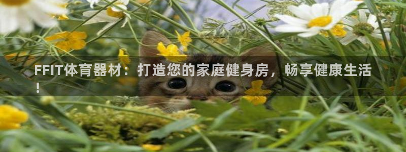 长征三国官网：FFIT体育器材：打造您的家庭健身房，
