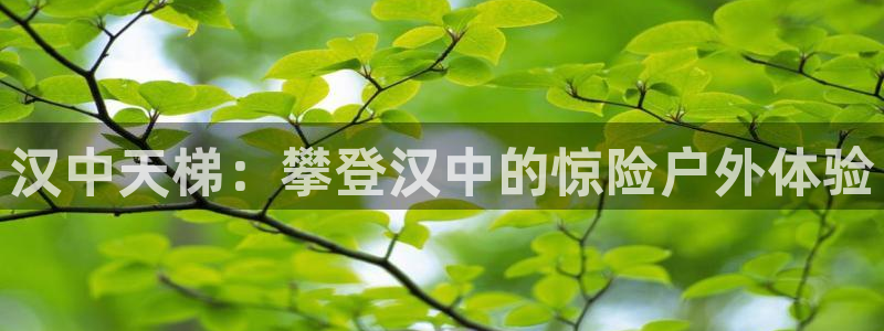 长征集团是什么电影院：汉中天梯：攀登汉中的惊险户外体