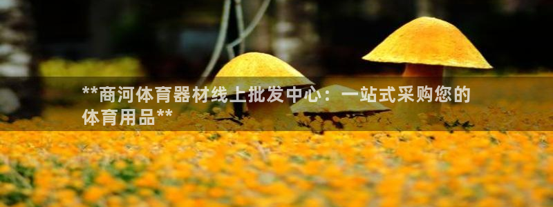 长征登场的意思：**商河体育器材线上批发中心：一站式