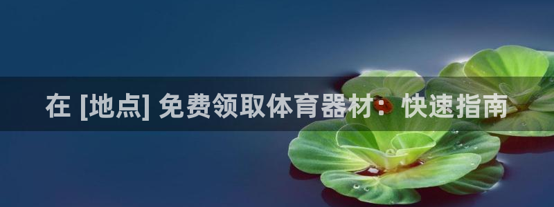 长征娱乐平台官网登录入口网址：在 [地点] 免费领取