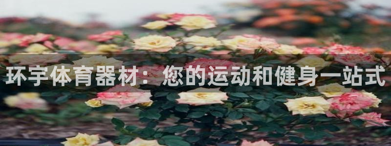 长征娱乐出款快吗是真的吗：环宇体育器材：您的运动和健