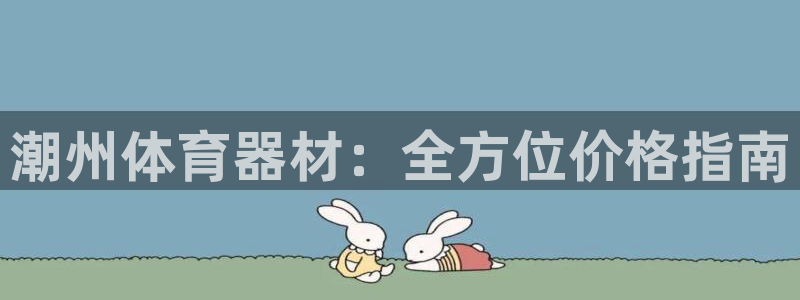 长征圣主：潮州体育器材：全方位价格指南