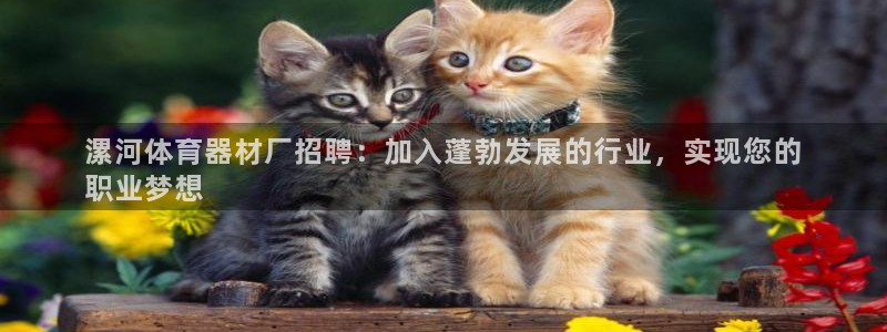 长征平台开户联4.8.7.7.8.4他系稳定吗：漯河