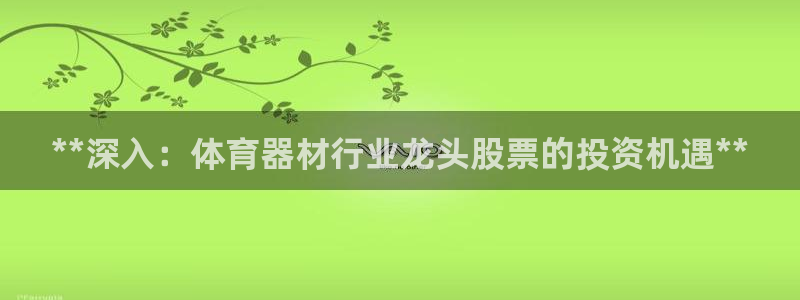 长征娱乐返点多少钱：**深入：体育器材行业龙头股票的