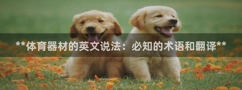 长征娱乐能提现吗现在多少钱：**体育器材的英文说法：