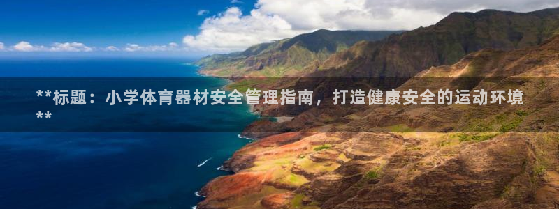 长征天下的微信名字好吗：**标题：小学体育器材安全管