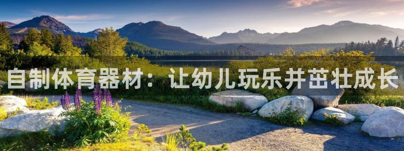 长征平台注册步骤：自制体育器材：让幼儿玩乐并茁壮成长