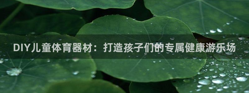 长征平台总代理:DIY儿童体育器材:打造孩子们的专属健康游乐