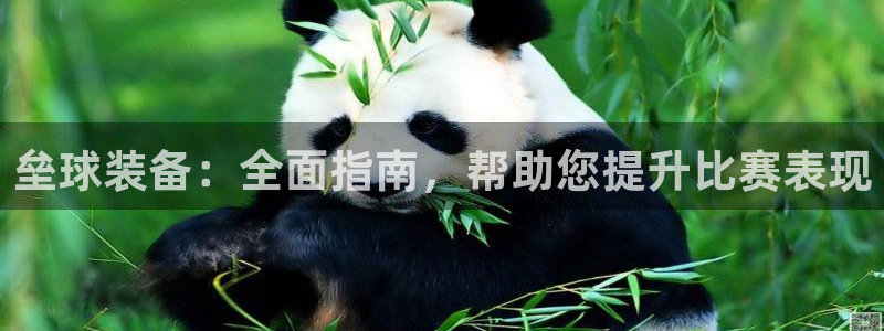 长征娱乐提现失败原因：垒球装备：全面指南，帮助您提升