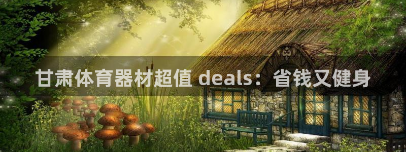 长征平台最新注册地址在哪里：甘肃体育器材超值 dea