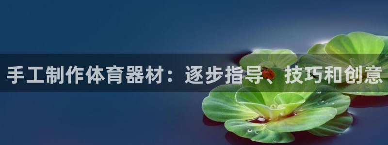 长征娱乐间7O777：手工制作体育器材：逐步指导、技