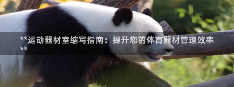 长征第二关：**运动器材室缩写指南：提升您的体育器材