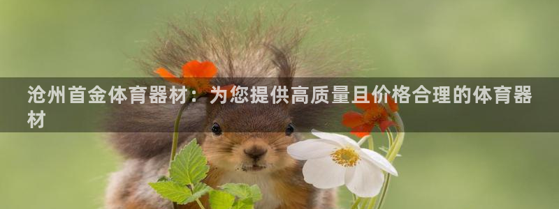 长征平台注册：沧州首金体育器材：为您提供高质量且价格