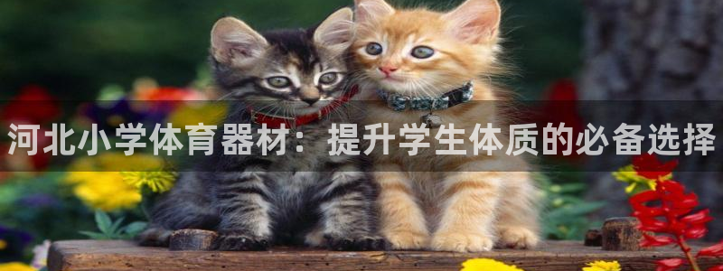 长征娱乐登录地址在哪里:河北小学体育器材:提升学生体质的必备