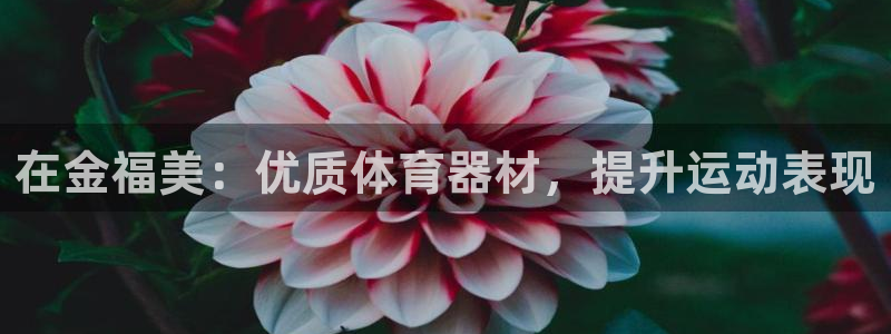 长征平台最新注册地址是哪里的：在金福美：优质体育器材