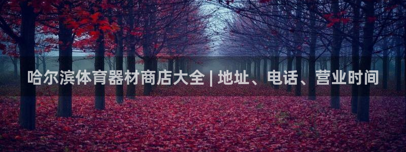 长征平台合作 585341：哈尔滨体育器材商店大全 