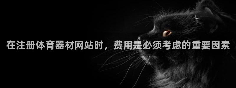 长征挑战怎么过：在注册体育器材网站时，费用是必须考虑